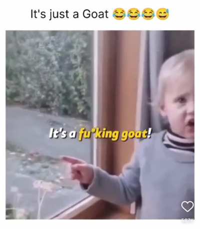 It&rsquo;s just a goat.