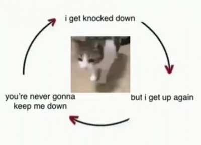 Tubthumping