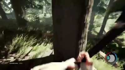 Watch out for that- tree?