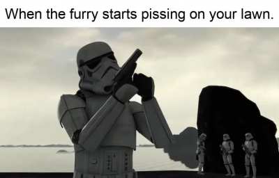 "Start to pray, rainbow dog fuckboy"