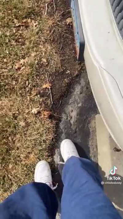 Interesting car horn