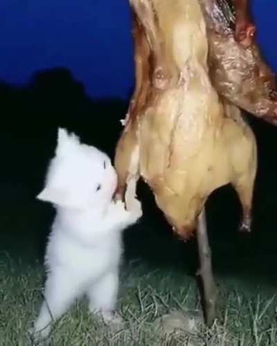 Muncher wunkoid