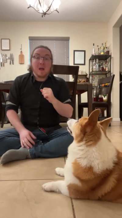 This man&rsquo;s wife is deaf and when she moved in, his Corgi started picking up on sign language and reacted amazingly to certain situations!