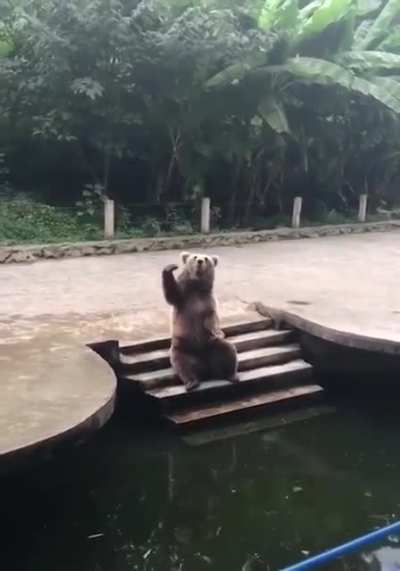 Don&rsquo;t feed the bears. MOON on Tuesday. Holding RKT $46 9/18 calls (.38 average cost)