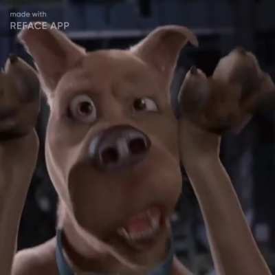 Lol shaggy scream