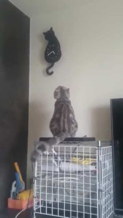 To catculate the time