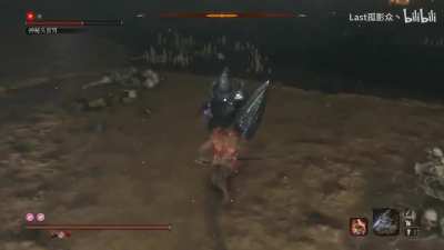 Sekiro if it had good bosses