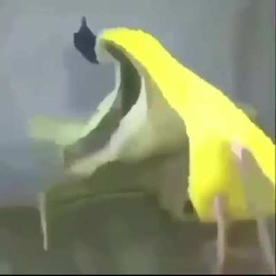 aA