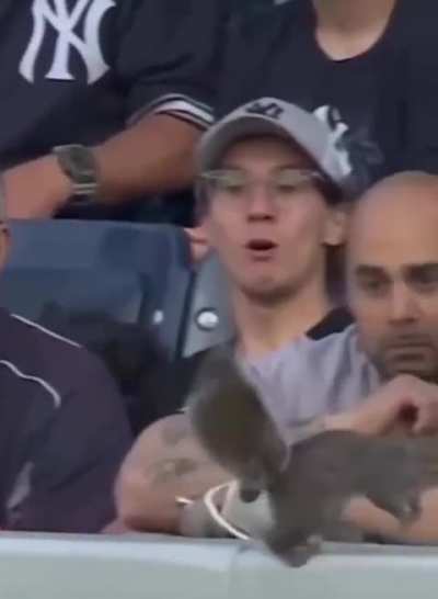 The array of different reactions.