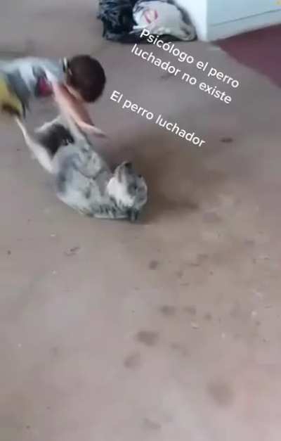 jujutsu doggo