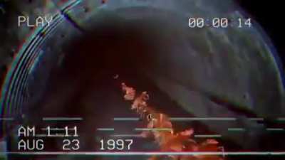 cock roach B)