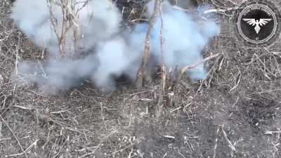 Ukrainian 47th Brigade’s Drone Strike Company targeting group of well-equipped Russian soldiers with FPV drones