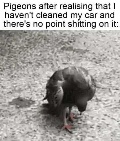 Mission failed