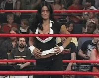 Traci Brooks was the Lisa Ann of wrestling