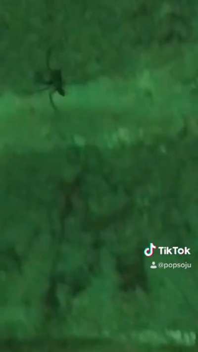 This guy&rsquo;s terrifyingly hard
