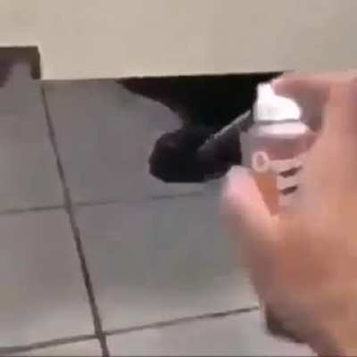 Alcohol pee