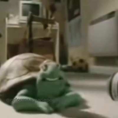 Todos al ver el post de Yao