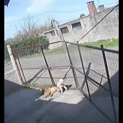 A uruguayo lo intentan robar pero le termina dando una lecci&oacute;n de humildad al chorro con un tour gratis por el vecindario.