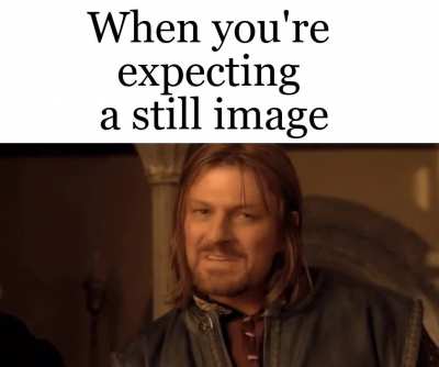 But they were all of them deceived