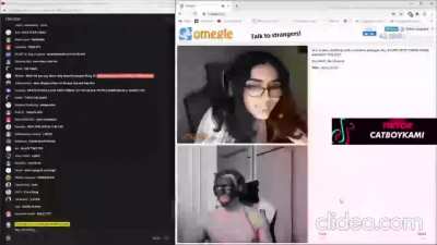 "I iz transnigger''