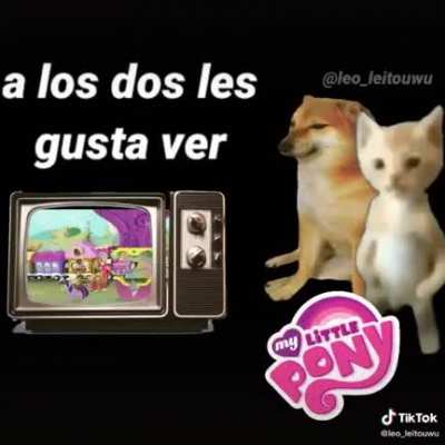 Mi pana cheems <3