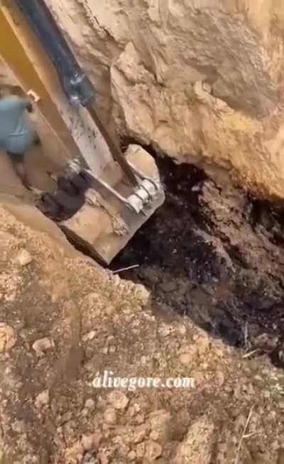 Buried Alive
