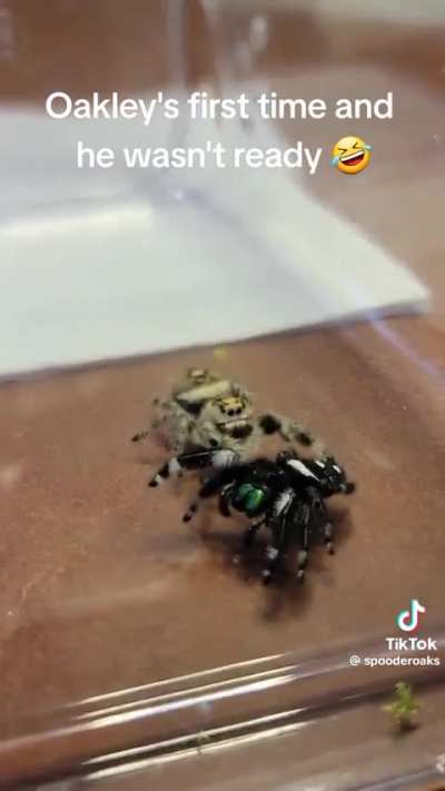 Saw this TikTok and thought y&rsquo;all would appreciate it 😂