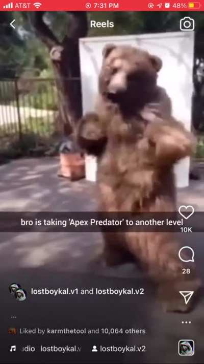 kuma????