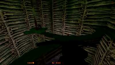 HELP BRUTAL HALF LIFE KEEPS BOOTING ME BACK TO THE MAIN MENU WHEN I ENTER THE PORTAL HOW DO I FIX???