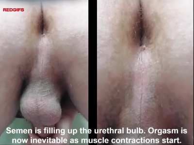 Slow-motion video showing my asshole and taint having pulsating contractions during an intense orgasm after 5 days of edging. Also includes a before and after orgasm comparison at the end which is worth seeing.