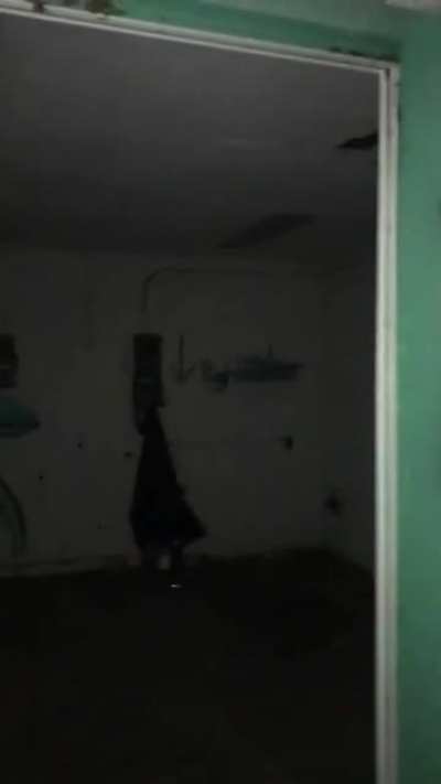 Bat sightings and in sync screaming