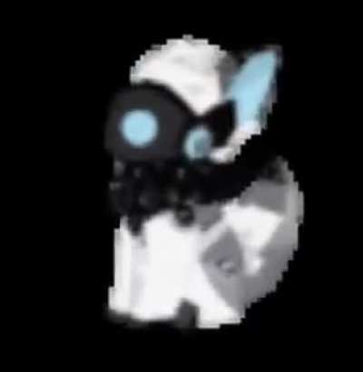 Spin_irl