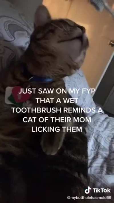 I hope this counts