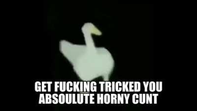 Ohh
