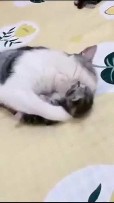 Cat hugs her son when he had a nightmare