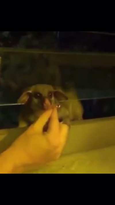 I&rsquo;d do the same