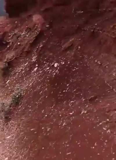 BIG JUMP