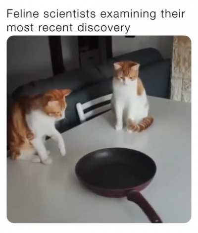 rule