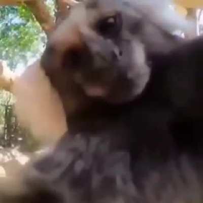 Mona 🐒❤️👀
