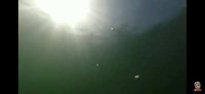 A normal fly with drone