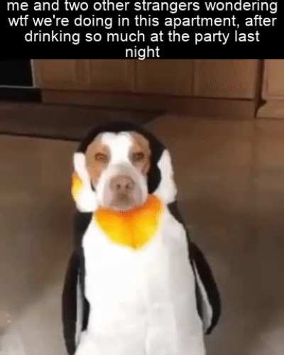 it is exactly like that