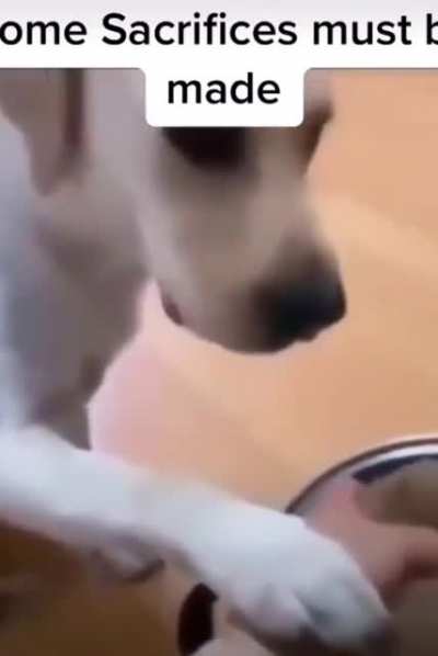 A true masterpiece