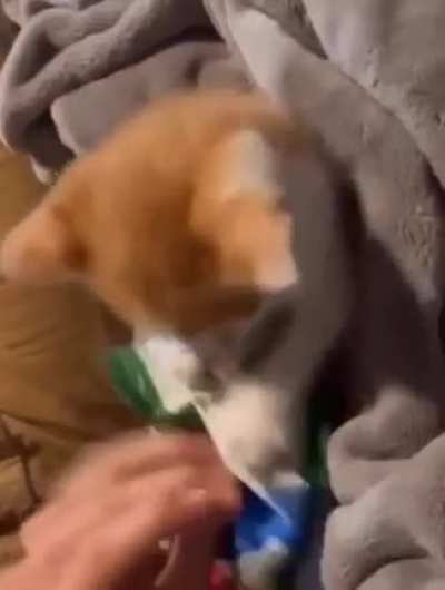 He didn&rsquo;t wanna give up the treats