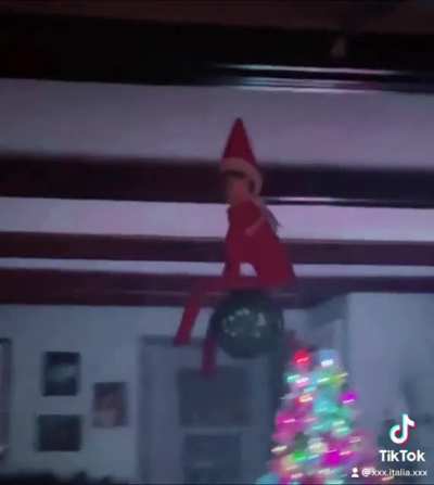 Just getting into the swing of things.