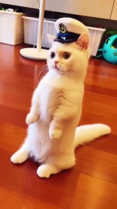 Hi .......................................