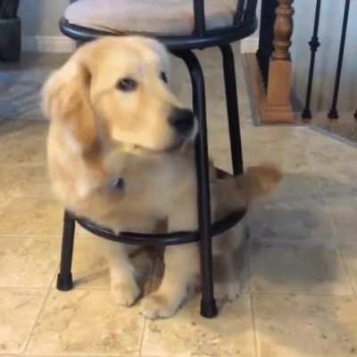 POV: I'm a chair)