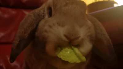 That mouth!