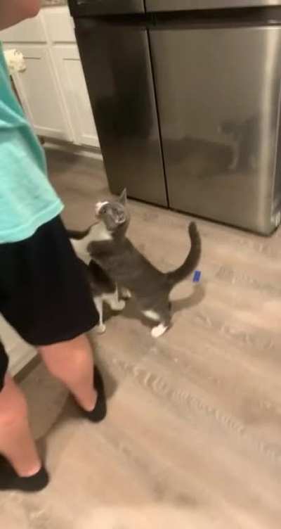 Was cutting chicken and&hellip;.