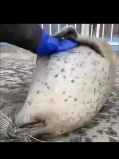 To want a hug