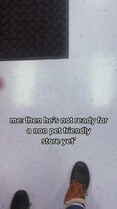 Service dog vs "Emotional support dog" at Walmart